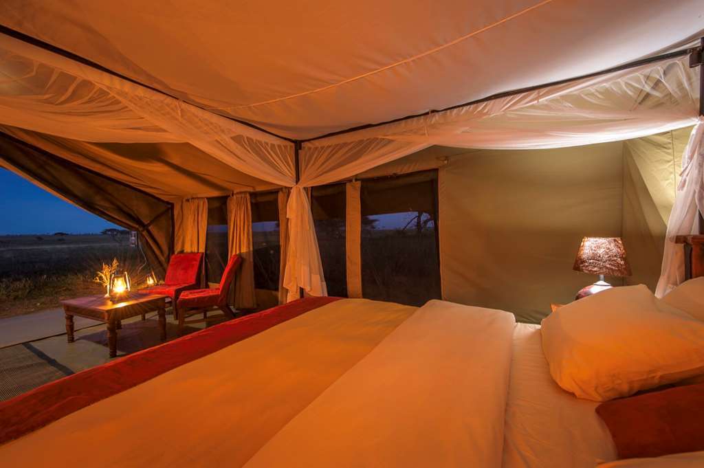 Karibu Camps And Lodges Sametu Camp Serengeti Robanda Chambre photo