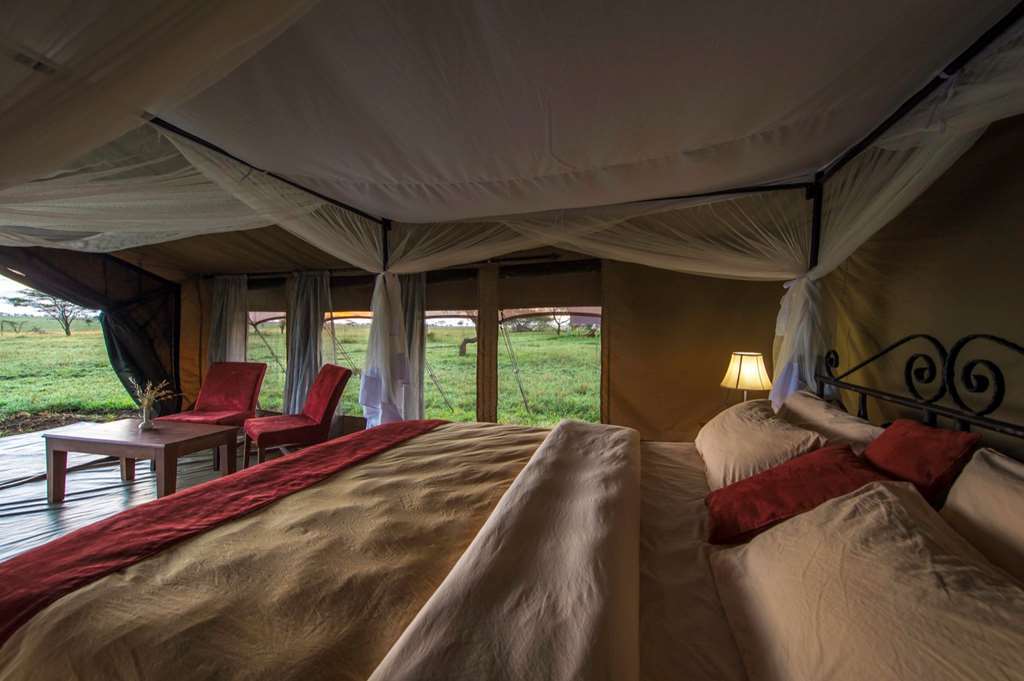 Karibu Camps And Lodges Sametu Camp Serengeti Robanda Chambre photo